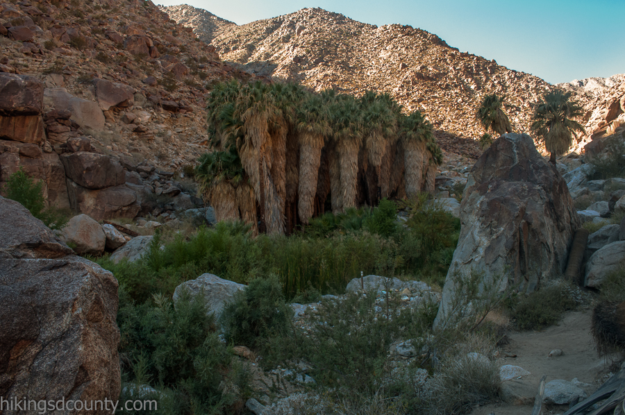 Anza borrego state park hiking sale