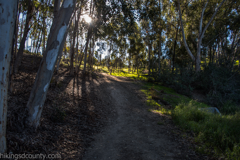 Shepherd Canyon