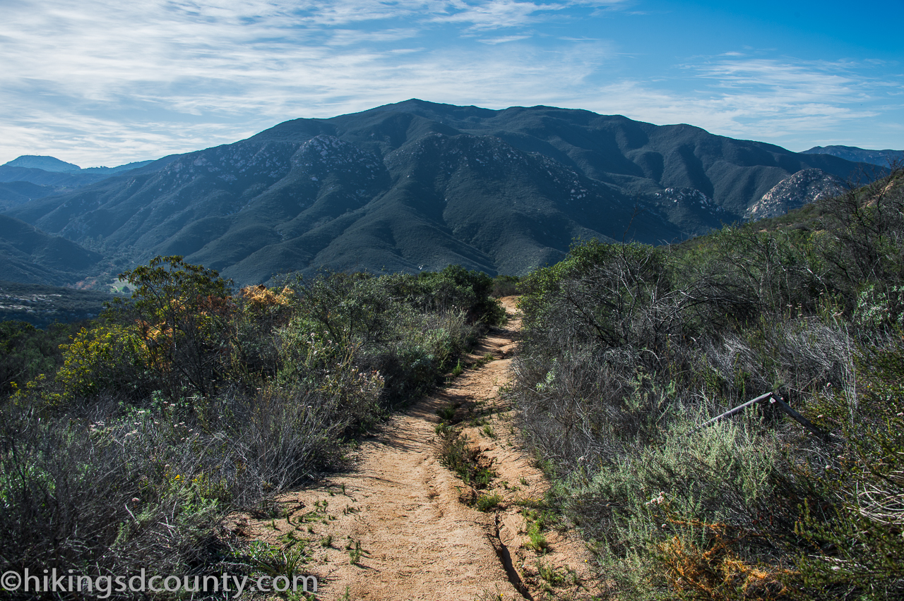 Best 10 Hikes and Trails in Sloan Canyon National Conservation Area