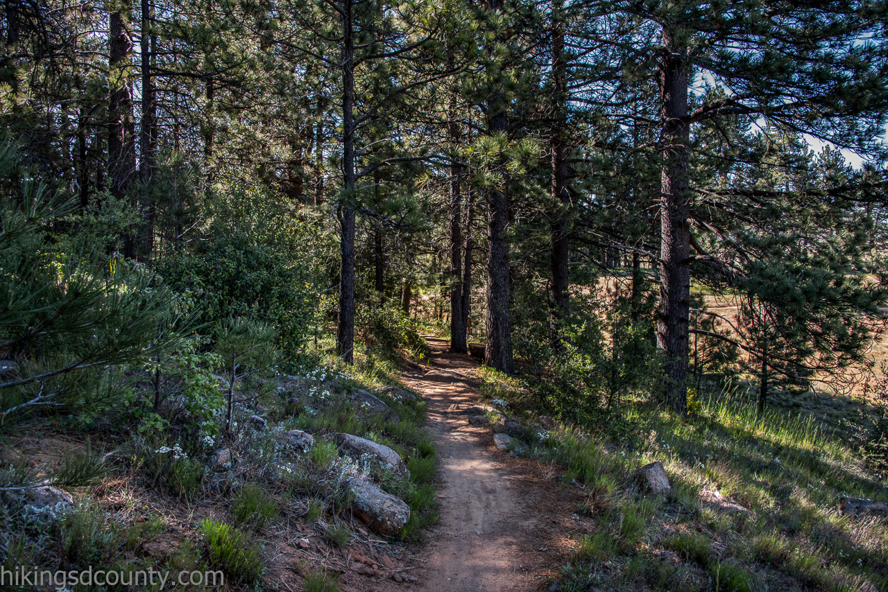 laguna mountain bike trails