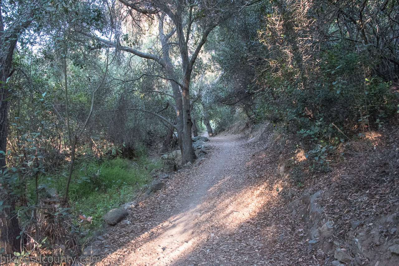 Knott Grove - Hiking San Diego County