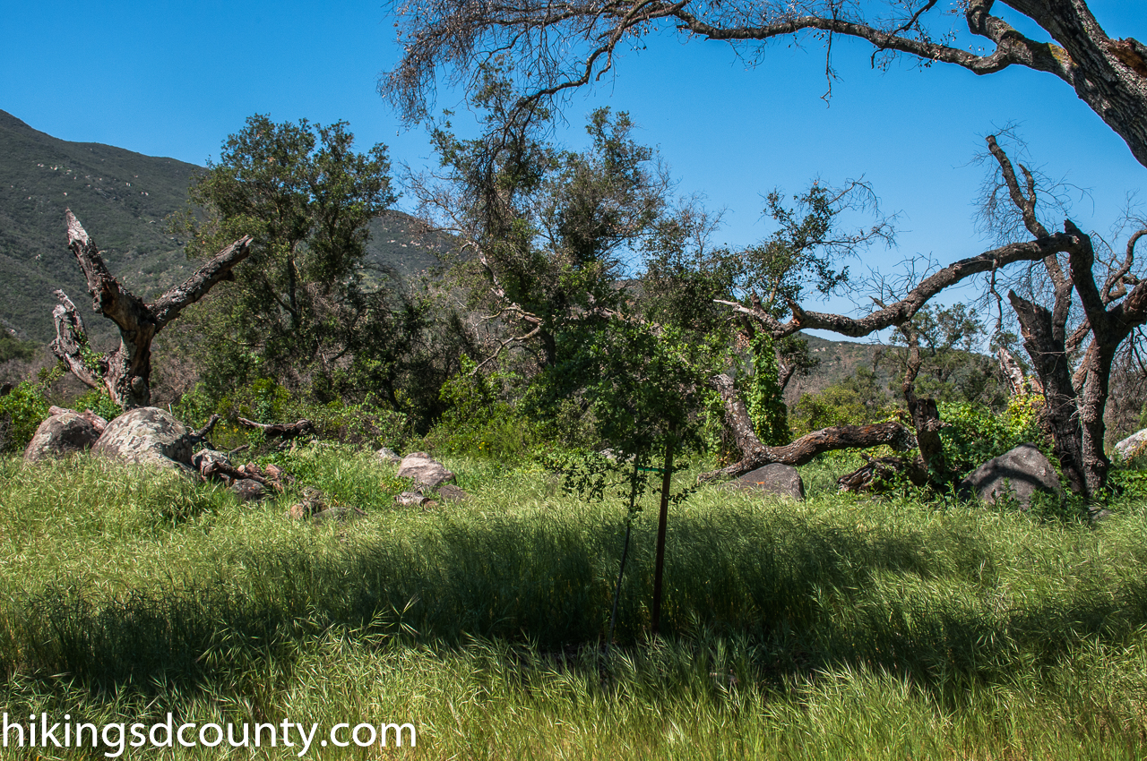 Wilderness Gardens Preserve - Hiking San Diego County