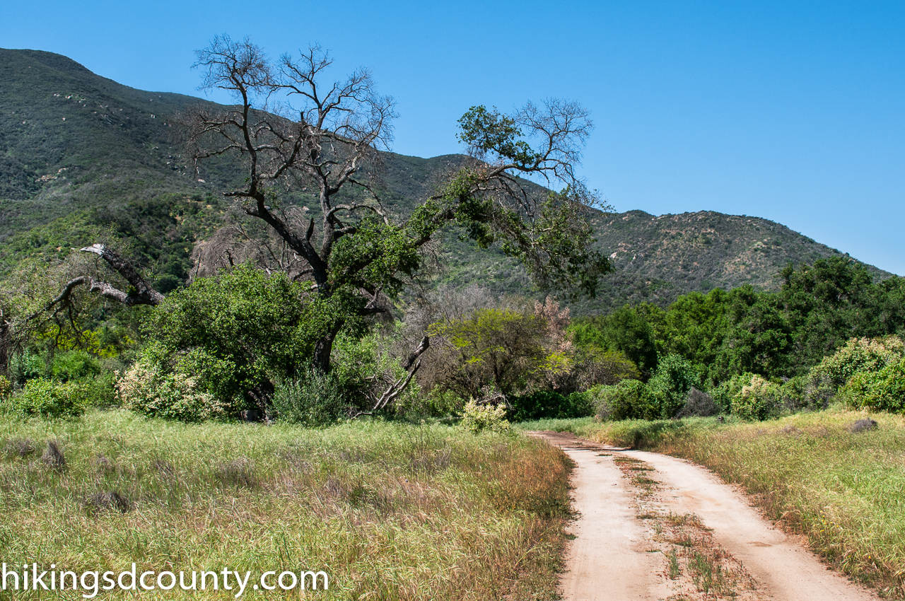 Wilderness Gardens Preserve - Hiking San Diego County