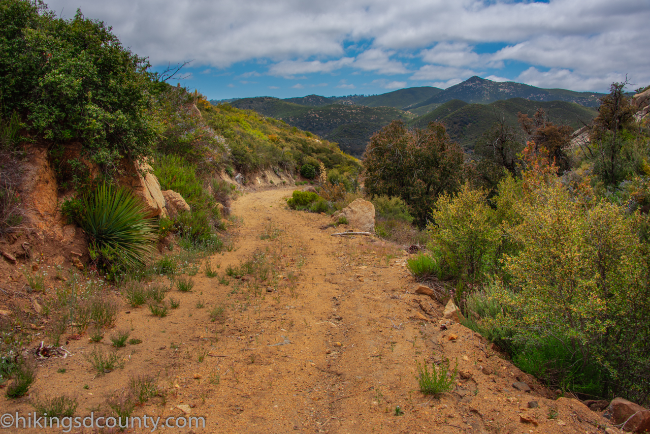 dead-horse-trail-blue-ribbon-trail-loop-cuyamaca-rancho-state-park